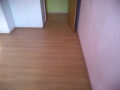 1aea08ff-50c8-4d2a-b502-07696f4592ff