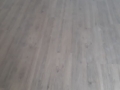 72c97021-9e46-40c0-8dab-91e326c29f07