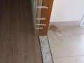 IMG-20190402-WA0047