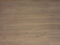IMG-20190402-WA0049