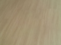 IMG-20190910-WA0087