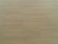 IMG-20190910-WA0091