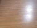IMG-20190917-WA0084